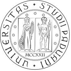 Università degli Studi di Padova Dipartimento di Ingegneria Civile Edile e Ambientale ICEA Corso di Laurea Magistrale in Ingegneria Civile Tesi di laurea Consolidamento di murature storiche: analisi