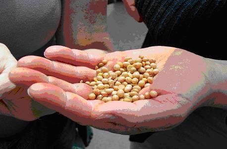 agricoltura: la posizione delle Regioni Roberto Gatto SERVIZIO AMBIENTE E AGRICOLTURA P.O. Zootecnia Via Tiziano, 44 60125 ANCONA Tel.