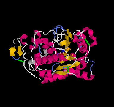 Università degli Studi di Cagliari Analisi dello stato dell arte della ricerca scientifica nel settore della produzione di energia da biomasse Biocombustibili liquidi Marcella