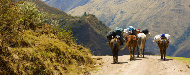PERÙ - TREKKING TRANSANDINO - LODGE TO LODGE Attraverso la Valle di Salkantay per giungere a Machu Picchu Un nuova proposta per gli amanti della natura e dei paesaggi incontaminati.