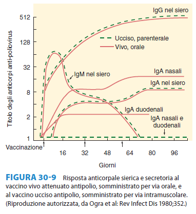 Vaccini