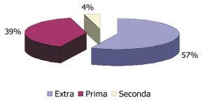 49 Curcuma, tabella 12 I grafici 10 e 11