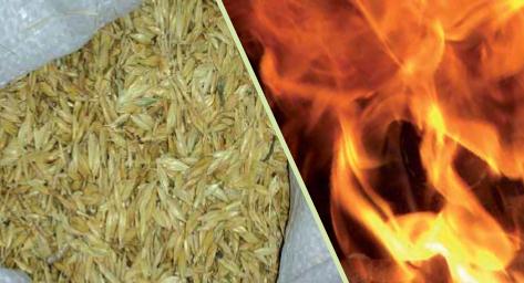 Riscaldamento da residui di lavorazione del farro (Azienda Cicchetti, Monteleone di Spoleto) Caratteristiche dell impianto Caldaia a pellet della potenza nominale di 35 kw con modifiche al sistema di