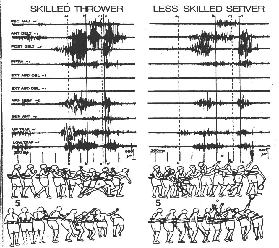 momento creato dalla racchetta durante la fase di proiezione, potrebbero essere le ragioni per alcune delle differenze osservate nell elettromiografia. Fig.