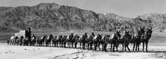 Attraversare la Death Valley non è mai stato facile!