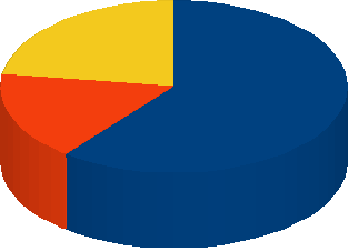 INTENZIONI DI GUIDA PRIMA DELLA PROVA ETILOMETRICA 17% 23% 61% Aspetto Faccio guidare un altro Vado a casa lo stesso Grafico n.6:comportamento dei guidatori >0.