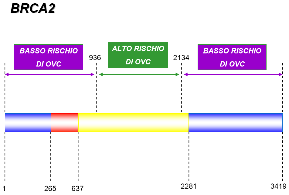 Sindrome del carcinoma