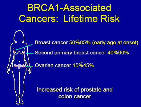 Mutazioni in BRCA 1 o 2 inattivazione meccanismo HRR predisposizione allo sviluppo di Carcinoma mammario ereditario, con insorgenza precoce tumore seno e ovaie BRCA 1: 50% mutazioni tumore mammario