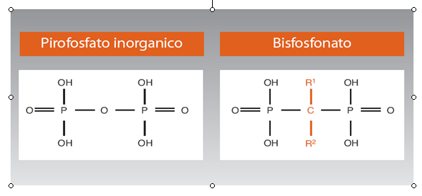 Figura 5 Struttura chimica di base di un bifosfonato Tutti i BF attualmente in uso condividono le seguenti proprietà farmacologiche: si depositano prevalentemente nel tessuto scheletrico, si legano