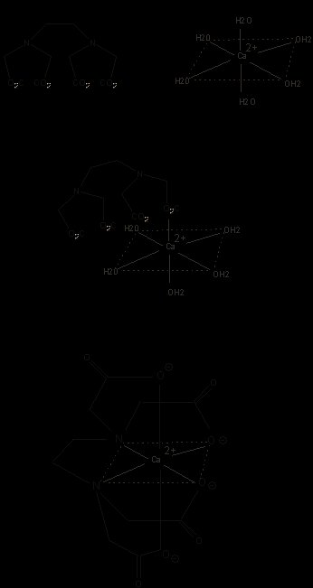 H 2 H 2 + CH 3 Etidio omuro (Et) S Blu di bromofenolo (BBF) EDTA e il relativo processo