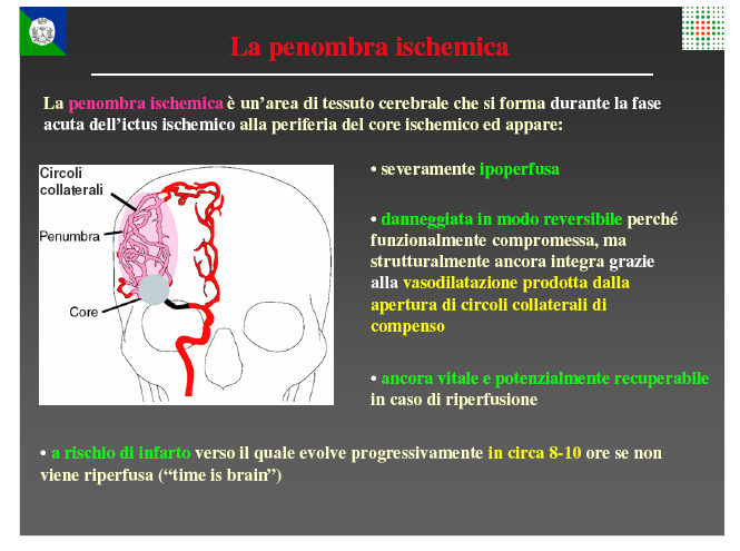 TERAPIA ENDOVASCOLARE Vantaggi Infusione diretta farmaco (+concentrato) a ridosso del trombo Continuo controllo angiogragfico Trombectomia meccanica Svantaggi Inizio terapeutico meno