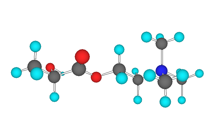 Struttura ed attività 17 Acetilcolinaesterasi eritrocitaria - un enzima idrolitico che scinde la lactoilcolina nei suoi costituenti (acido lattico e colina).