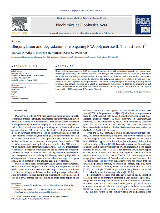 Apr 2014 Durante il suo viaggio nel gene, l'rna polimerasi II deve fare i conti con una serie di ostacoli alla sua progressione, tra cui i nucleosomi, le varie proteine che legano il DNA, i danni al
