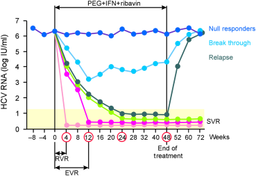 Fig. 6 Definizione di risposta al trattamento con PEG-IFN e ribavirina. Risposta virologica rapida (RVR): HCV RNA non rilevabile alla quarta settimana di trattamento.