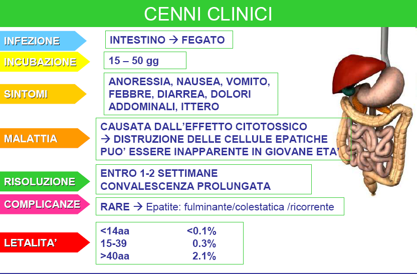 ITTERO: < 6 aa: 10% 6-14