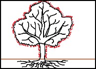 Volumi e Dosaggi 600 l/ha (impianti giovani e/o 5 m3) 800 l/ha (impianti 30 m3) 1000 l/ha (impianti > 30 m3) Dose prodotto = 0,14 l/hl x 6 hl x 1 ha = 0,84 l/ha 140 ml/hl Dose prodotto = 0,14 l/hl x