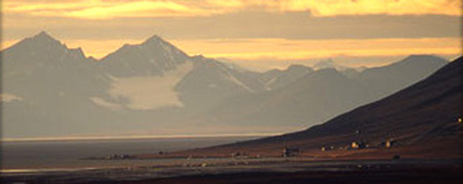 SVALBARD - CROCIERA NEL REGNO DELL'ORSO POLARE Circumnavigazione a bordo della nave da crociera MS Expedition L'arcipelago delle Svalbard è situato ai margini del Polo Nord tra il 76 e l81 parallelo.