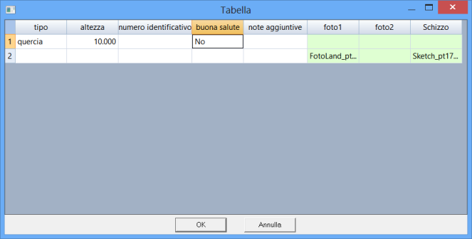 Per definire un campo di una tabella è necessario specificare il nome, il tipo ed il formato. Con il bottone Elimina compare la finestra Attenzione!