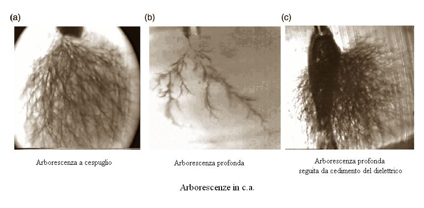 RILEVAZIONE DI ARBORESCENZE CON