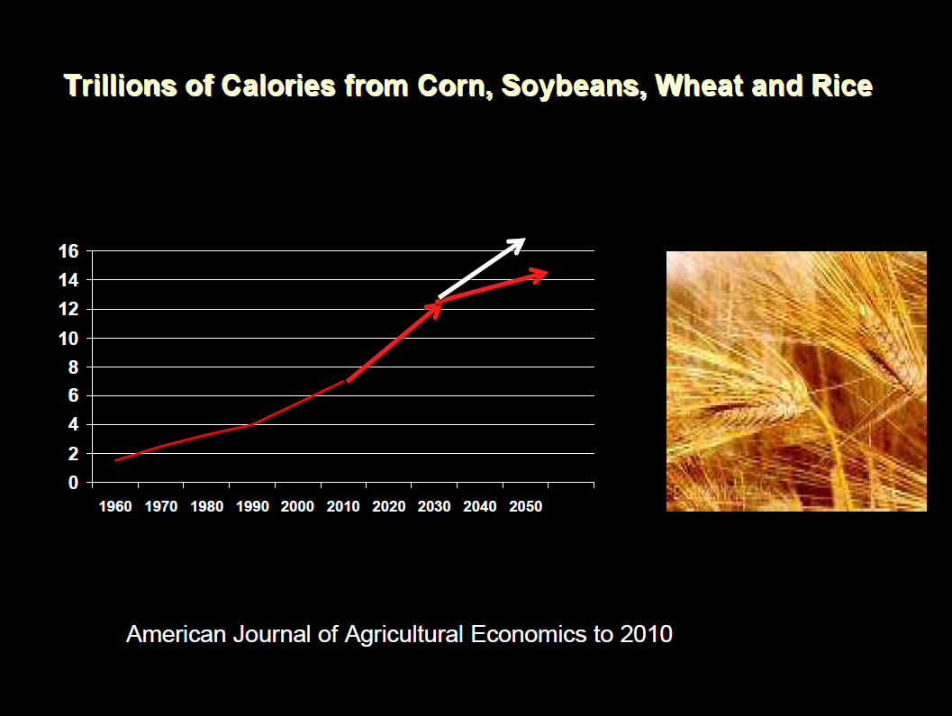 GLOBAL FOOD DEMAND: