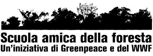 Cosa significa FSC? Da un tavolo, da un gioco o da un pezzo di carta è difficile risalire alle origini e ai metodi di lavorazione del legno.