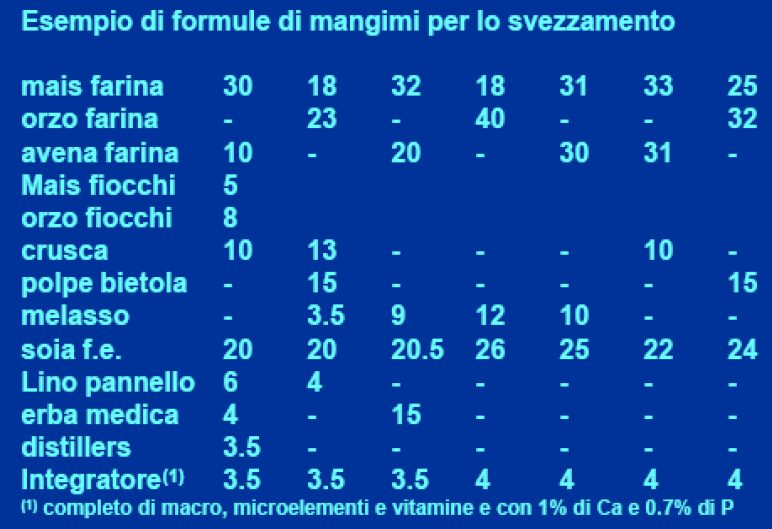 Svezzamento bovino da latte inizio precoce dello svezzamento Ottimale a 10 w dalla