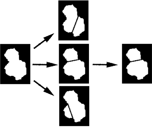 30: Esempio di split a 3 o più regioni concave Se sono state ottenute due cellule