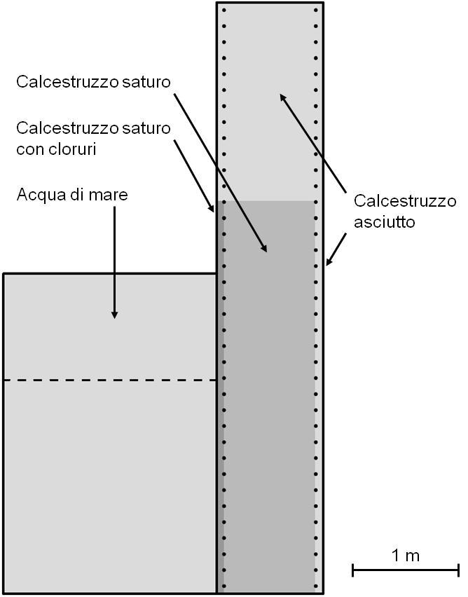 Fig.2.06 - Profilo di umidità nel muro in calcestruzzo: il lato esterno (a sinistra) è a contatto con acqua di mare, mentre il lato interno (a destra) è esposto all atmosfera.
