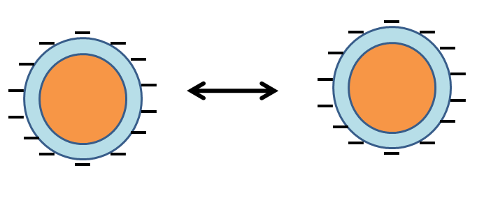 Il potenziale Z Le singole particelle hanno una intensità di carica elettrica così elevata da vincolare a sé degli ioni presenti nell acqua e un sottile velo della stessa acqua (è un dipolo