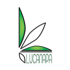 Cosmesi naturale a base di canapa, a cura di Lucanapa 18:00-20:00 Area Anfiteatro EUR 7 durata 1:30 h, per informazioni e prenotazioni manuela.tolve@lucanapa.