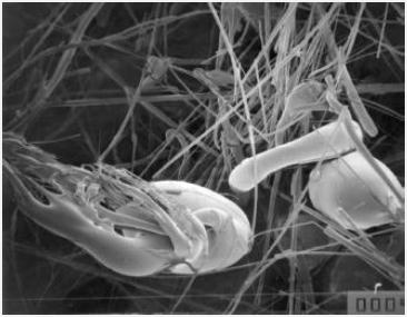 STRUTTURA DEI MATERIALI FIBROSI LANA DI VETRO LANA DI ROCCIA Fibre di