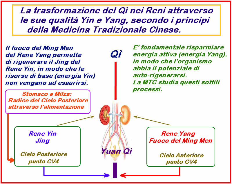 Schema 1 Terapia di Base 1.