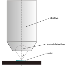 Il potere risolutivo del microscopio ottico è di 0,2 μm Il potere risolutivo del microscopio ottico può essere espresso come: Dove: λ (lambda) è la lunghezza d'onda della luce incidente n è l'indice