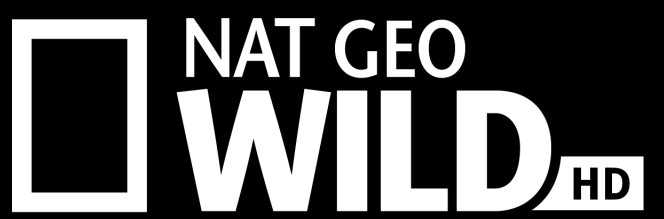 NAT GEO WILD Logo Canale NAT GEO WILD Channel Positioning: I documentari wildlife e i paradisi incontaminati del pianeta. Main links https://www.facebook.com/natgeowilditalia?fref=ts http://natgeotv.