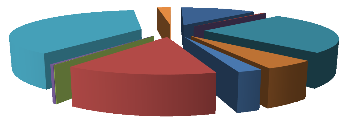 Localizzazione degli incidenti Gli incidenti sono stati disaggregati in funzione delle caratteristiche geometriche: intersezione lineare con regole di precedenza (incrocio, intersezione segnalata,