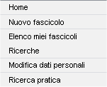 3.5 Ricerca pratica Questa tipologia di funzionalità permette di cercare le istanze trattate dallo Sportello Edilizio come Pratiche Edilizie.