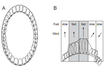 Figura 2.1: Avanzamento del fronte fuoco lungo il bordo esterno delle ellissi (Finney 2004) secondo il principio di Huygens.