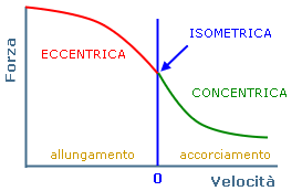 Grafico