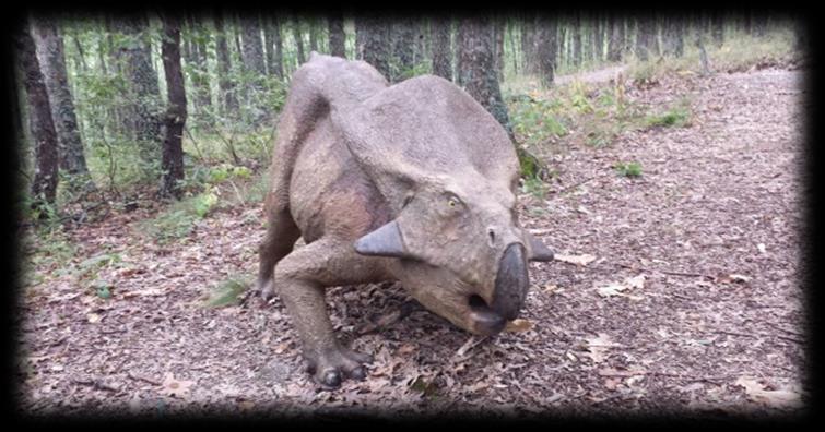 All interno del Villaggio è possibile inoltrarsi nel PARCO DEI DINOSAURI, con una suggestiva passeggiata nella natura che permetterà ai nostri ospiti di incontrare modelli di animali preistorici a