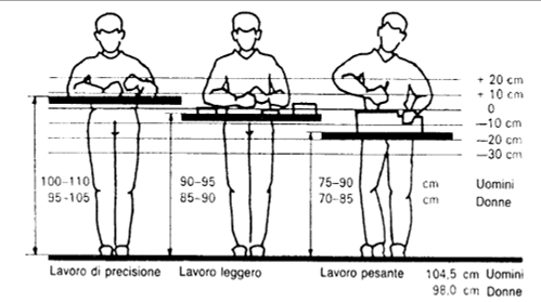 Attrezzature di di lavoro e arredi piani di lavoro e collocazione delle attrezzature (es. macelleria a e ortofrutta) con distanze dal corpo adeguate (rif.