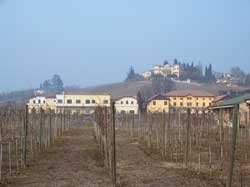 collaborano con Veneto Agricoltura nella gestione delle attività. CHIOGGIA SOTTOMARINA (VE), ZUCCA MARINA IN PIAZZA 11-28 novembre 2010 Sede: Sottomarina Brondolo C è davvero del sale in zucca.