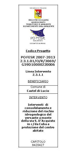 quietanzate e altri giustificativi emessi da imprese e fornitori di beni e servizi con timbro che ne attesti il finanziamento comunitario); il quadro tecnico economico del progetto, copia delle