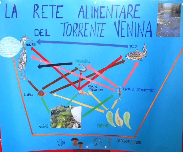 CLASSI QUARTE Noi alunni delle classi quarte in 3 cartelloni abbiamo illustrato le caratteristiche principali del torrente Venina, un affluente dell Adda, che abbiamo esplorato da vicino durante