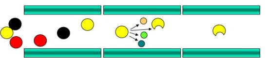 Tecniche di spettrometria di massa Triplo quadrupolo: Neutral loss Neutral loss Si identificano tutti gli