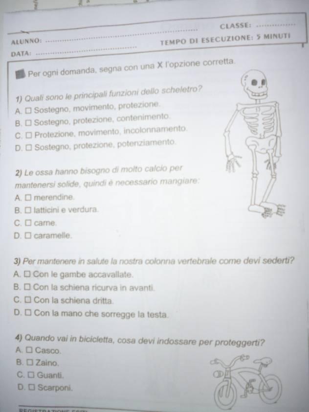 predisposte, le verbalizzazioni scritte e orali ed al