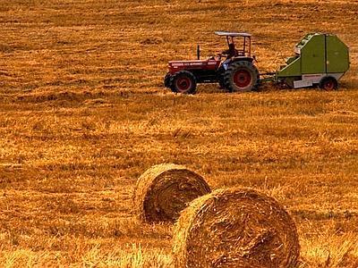 L ECONOMIA L economia dei paesi alpini è basata soprattutto sul terziario.