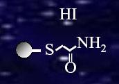 Seconda dimensione: SDS-PAGE Separa le proteine secondo il loro peso molecolare Iodoacetamide serve per alchilare Tampone di