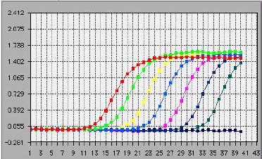 Fluorescenza Curve di amplificazione Plot lineare Cicli di amplificazione Per ogni campione si ottiene una