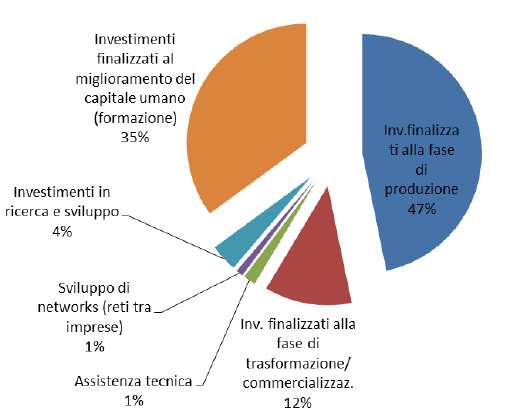 Grafico 5.