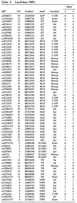 A G Down TYR 88668617 11 rs28521275 G A Int TYR 88658088 11 rs1827430 T C Int TYR 88600836 11 rs3793975 A G Int TYR 88600438 11 rs12804012 A C Nonsyn TYR 88551344 11 rs1042602 A C Up TYR 88550571 11